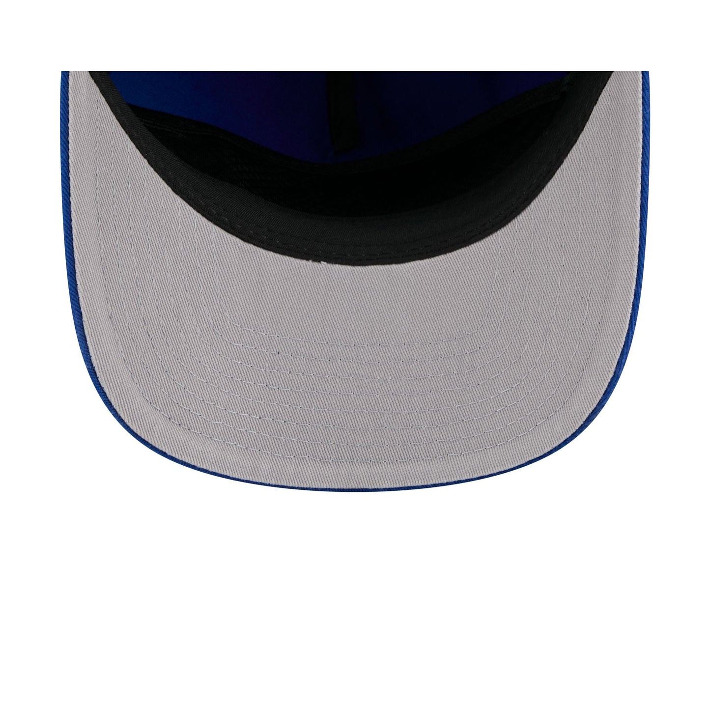 Florida Gators 19TWENTY Snapback Hat